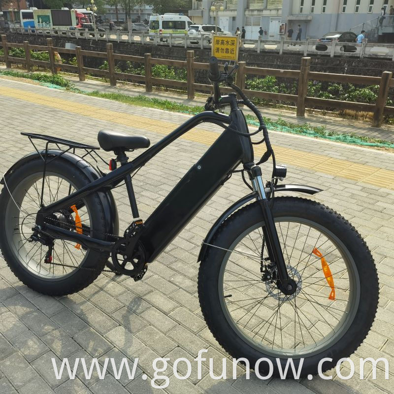 750W Lithium Battery 48V Electric Bicycle 26 inch Fat Tyre Beach Snow Electric Bike E-Bike